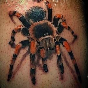 Meet your Posher, El perro